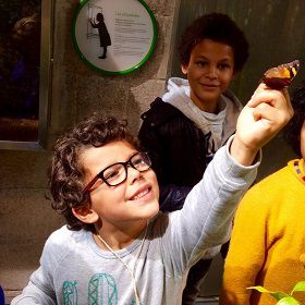 P2-ecole-enfant-precoce-rc écoles pour enfants hpi paris