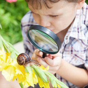P2-ecole-primaire-rc P2-ecole-primaire-rc