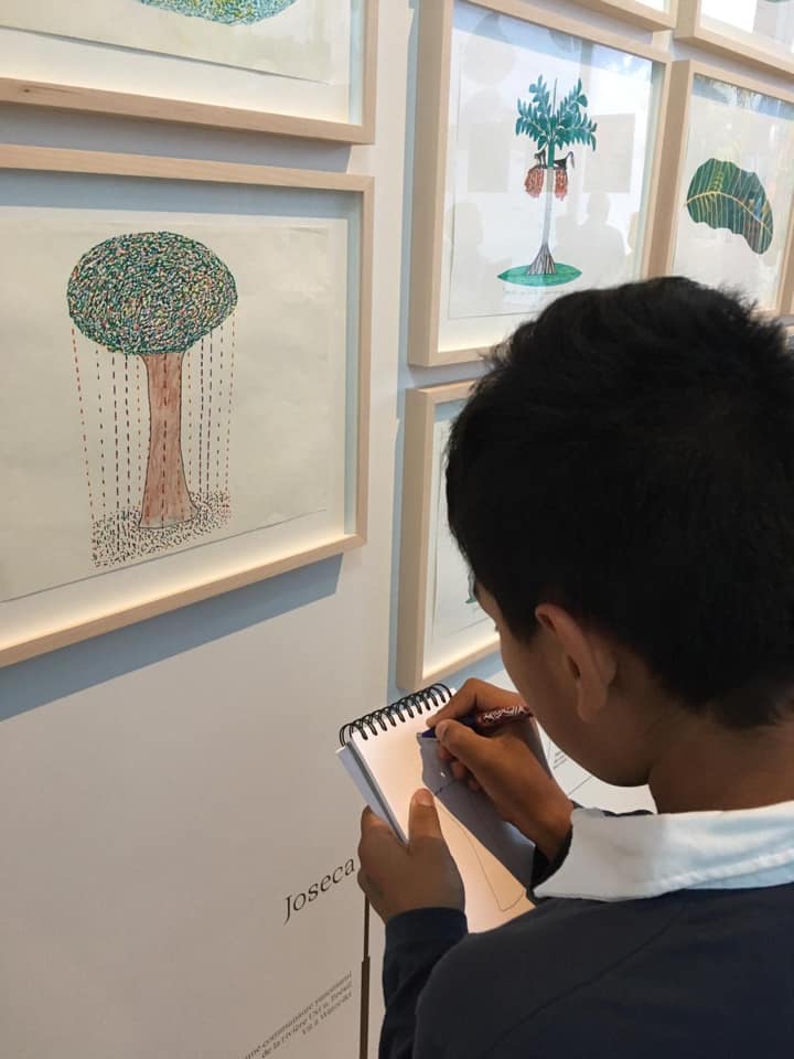 70719544_2326294804286321_4968330413241008128_n