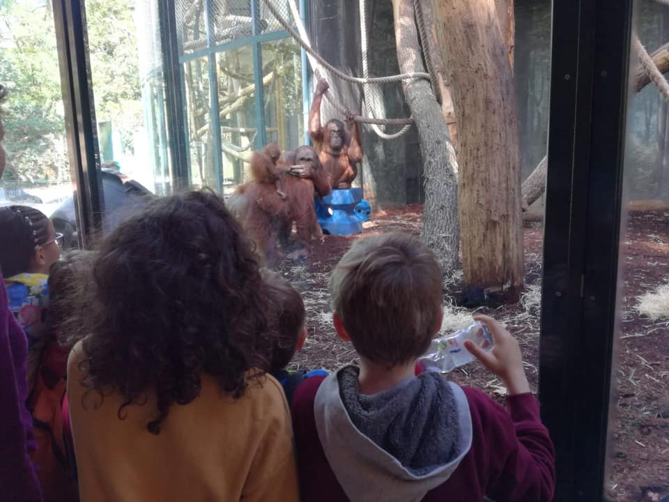 70872515_2326294697619665_6577772349746053120_n