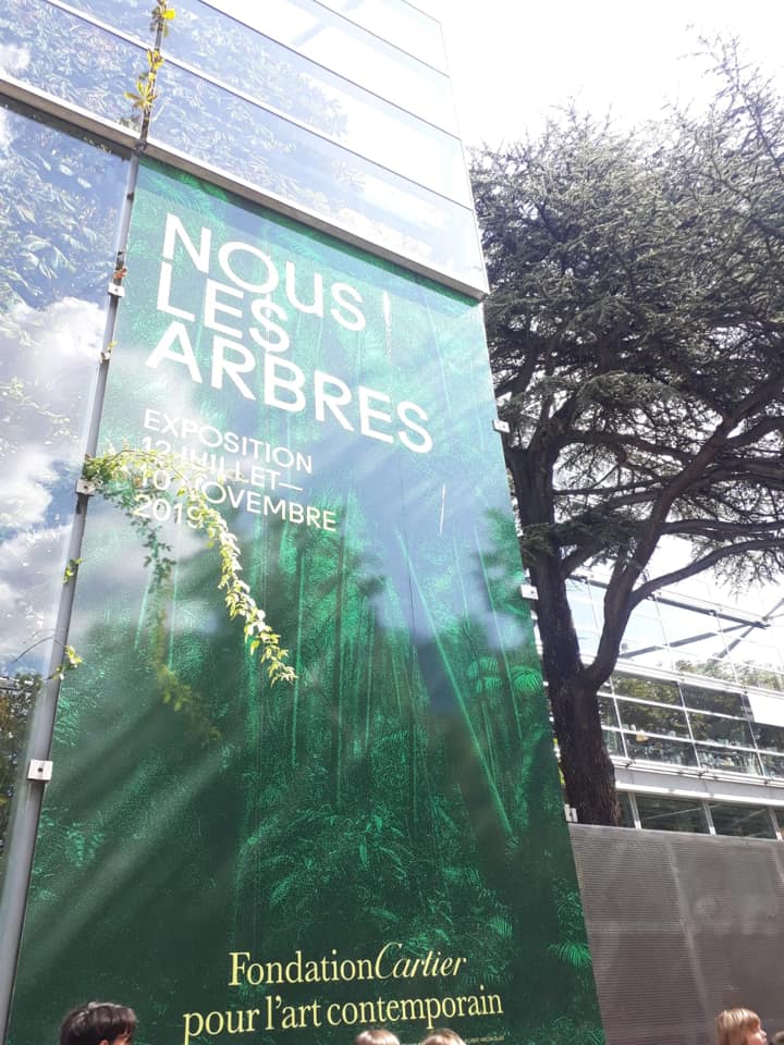 71420679_2326294760952992_5700036679763492864_n