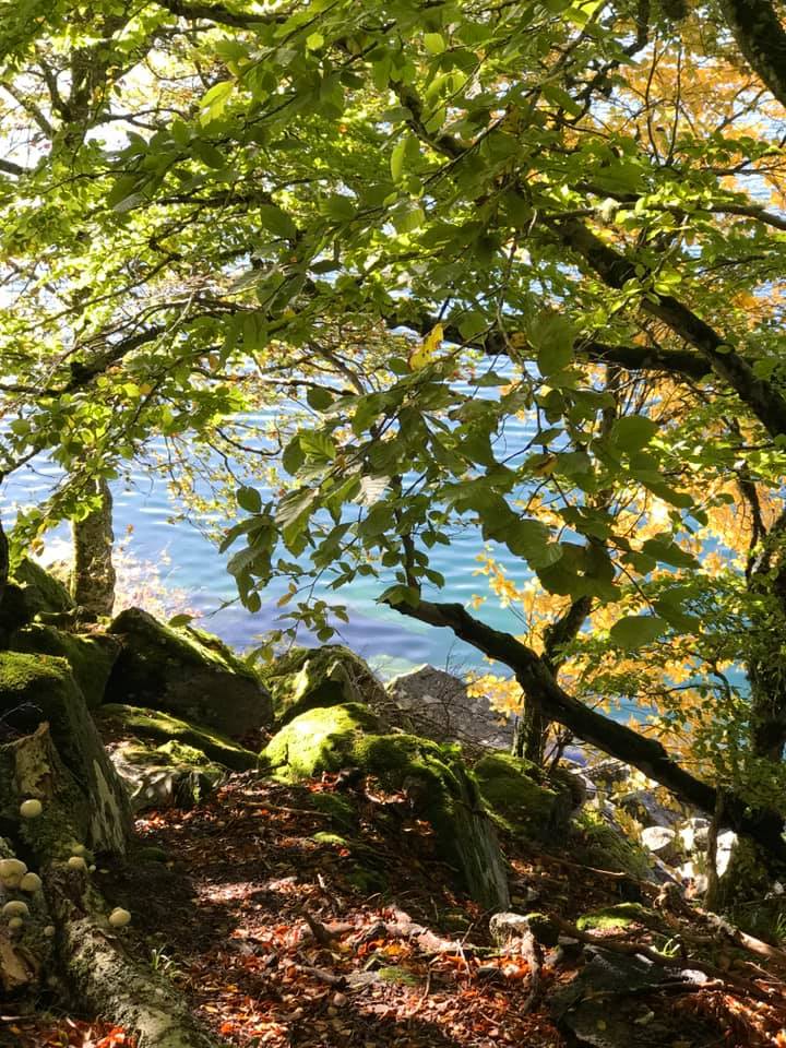 72433136_2344952332420568_7550714680038129664_n