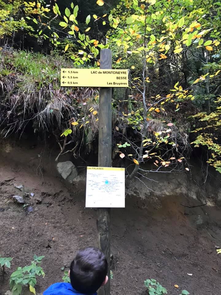 72474498_2344952442420557_5414423244365103104_n