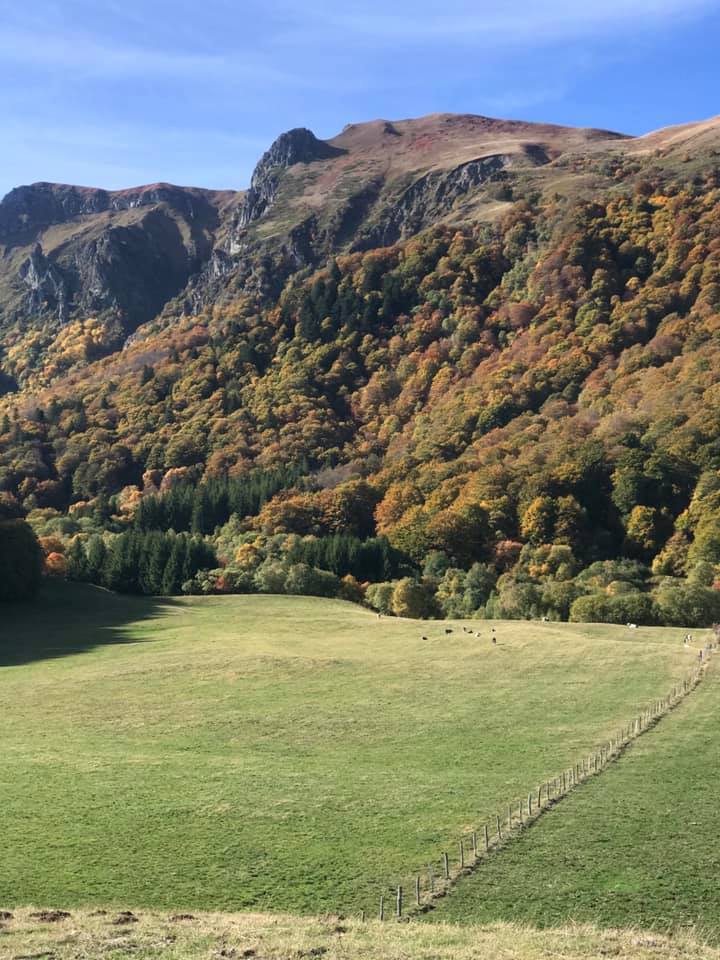 72556185_2344952662420535_6500224185481035776_n