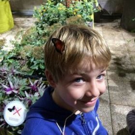 P1-ecole-privee-en-bref-rc